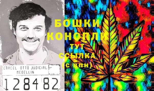 МДПВ Аркадак