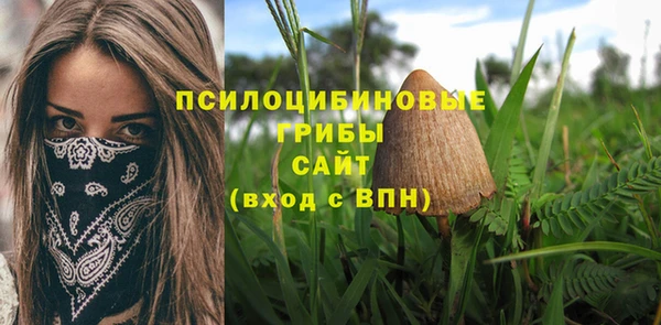 тгк Армянск