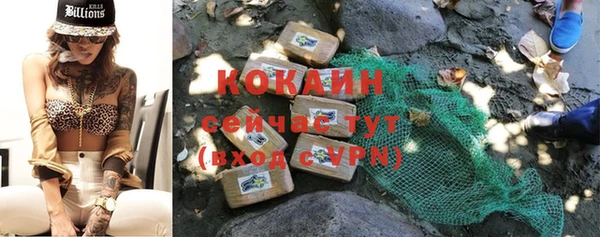 твердый Арсеньев