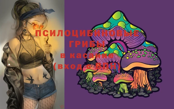 МДПВ Аркадак