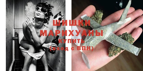 твердый Арсеньев