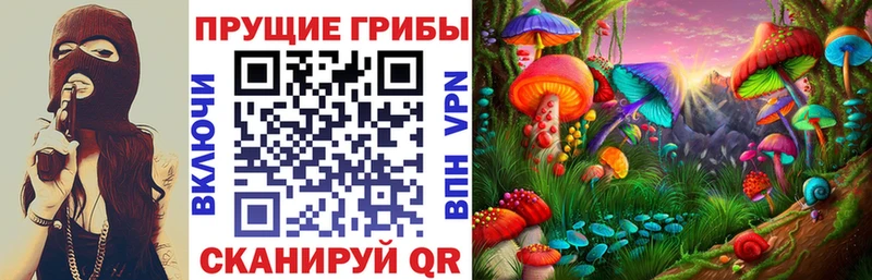 Псилоцибиновые грибы Magic Shrooms  Нововоронеж 