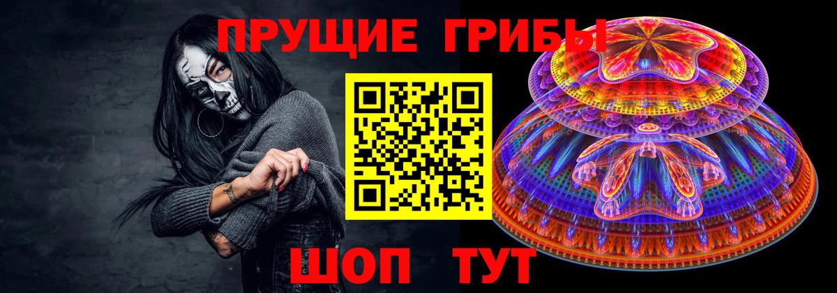Псилоцибиновые грибы GOLDEN TEACHER  Вход с VPN  Нововоронеж  Галлюциногенные грибы Cubensis 